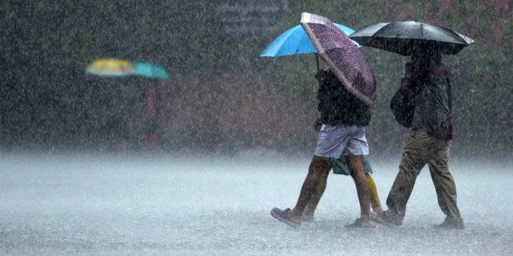 தமிழகத்தில் அடுத்த 4 நாட்களுக்கு மிதமான மழைக்கு வாய்ப்பு; வானிலை மையம் அறிவிப்பு!
