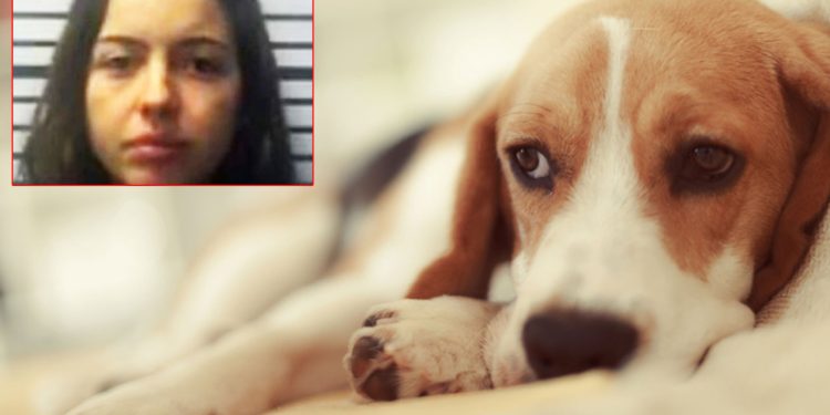 நாயுடன் உடலுறவு கொள்ளும் வீடியோவை வலைதளத்தில் பதிவேற்றிய பெண்!