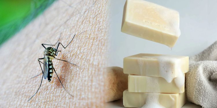 கொசுக்களை ஈர்க்கும் சோப்பின் வாசம்; புதிய ஆய்வில் தகவல்!